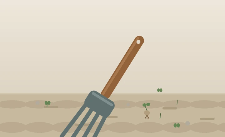 A hand cultivator with curved tines resting on tilled soil beside young seedlings